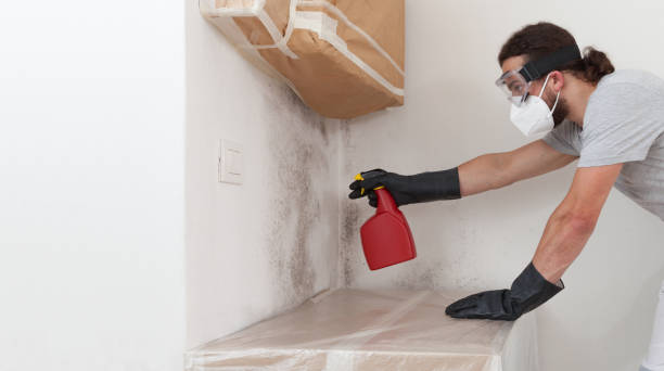 Professional Commercial Mold Remediation technician working in Pentwater, MI
