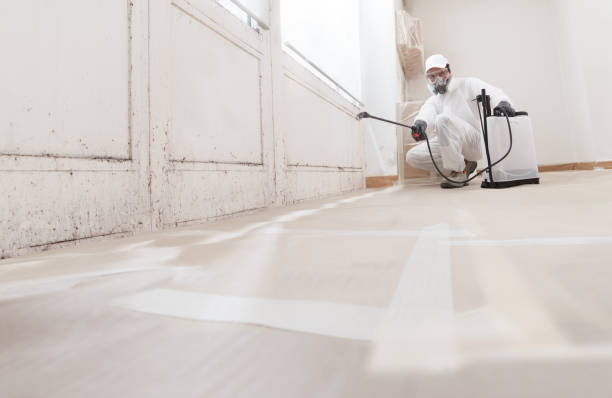 24/7 Emergency Commercial Mold Remediation experts in Pentwater, MI
